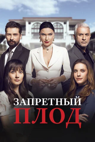 Смотреть Запретный плод 6 сезон онлайн бесплатно в HD качестве на русском языке